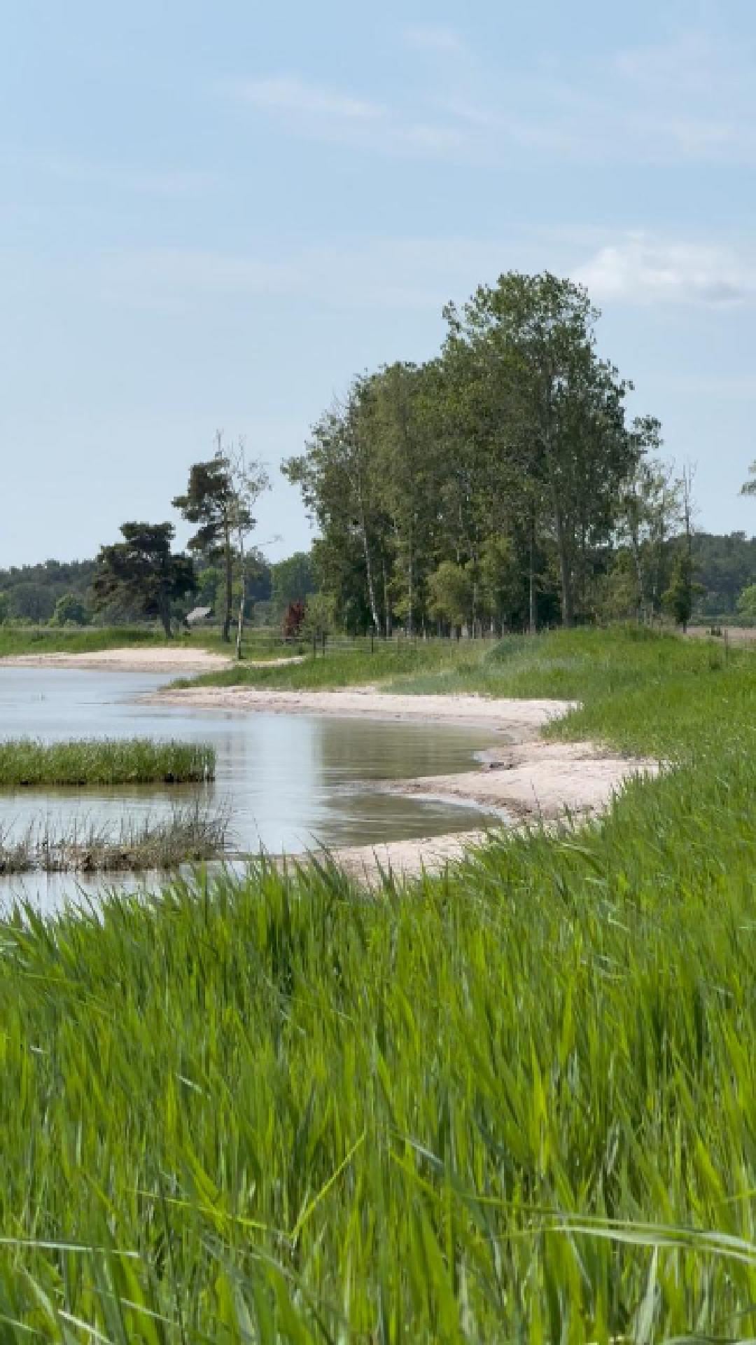 Lugna stränder på Gotland